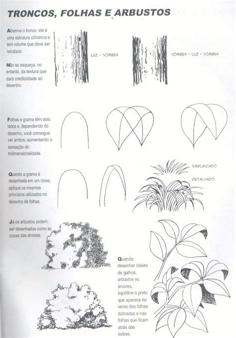 Desenhos Desenhos Meus Tutorial árvores E Arbustos Árvores E