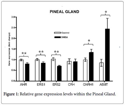 Decrease In Aryl Hydrocarbon Receptor And 17Ã Â² Estradiol Receptor A