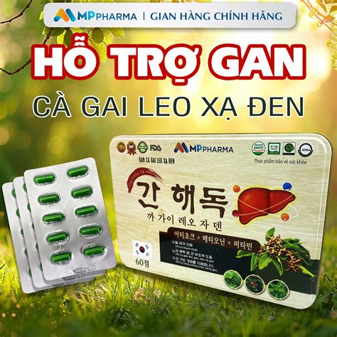 Viên uống GIẢI ĐỘC Gan Cà Gai Leo Xạ Đen hỗ trợ tăng cường chức năng