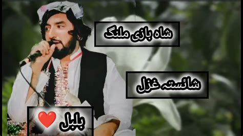 mhmd aal shok shaest ghzl  ali shoqi  song youtube