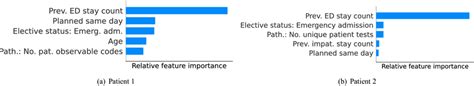 Two Examples Of Visualizations Explaining The Relative Importance Of