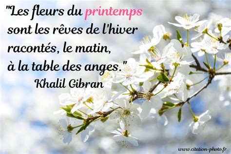 Citations En Photos Sur Le Printemps