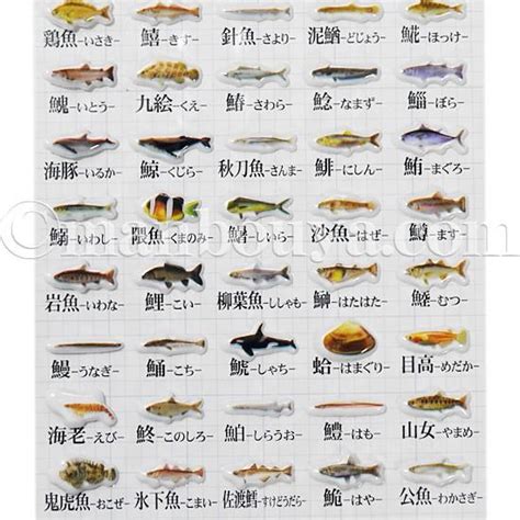 シール 海洋生物 魚 図鑑 大全シリーズ ザ・アクセス お魚漢字 プチシール メール便発送可 Za 026442 まんぼう屋ドットコム