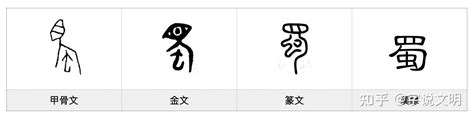 蜀——每日一字·虫部字 知乎