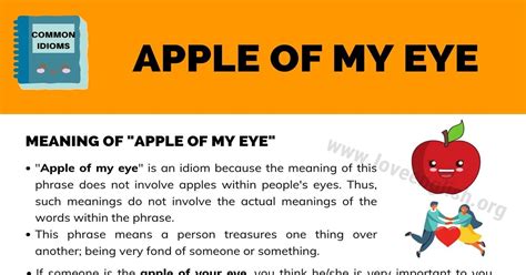 Apple Of My Eye What Is The Meaning Of Apple Of Ones Eye Love English