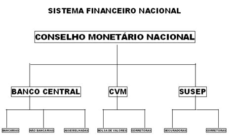 mercado financeiro  de capitais estrutura  sistema financeiro nacional