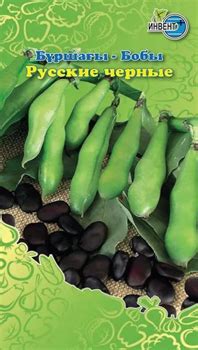 Купить Семена ИНВЕНТ ПЛЮС Бобы Русские Чёрные в Алматы - низкие цены ...
