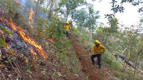 Incontenibles Los Incendios Forestales En Oaxaca N