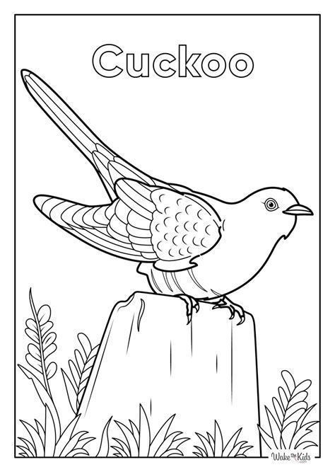 Cuckoo Coloring Pages (Free Printable PDFs) | WakeTheKids