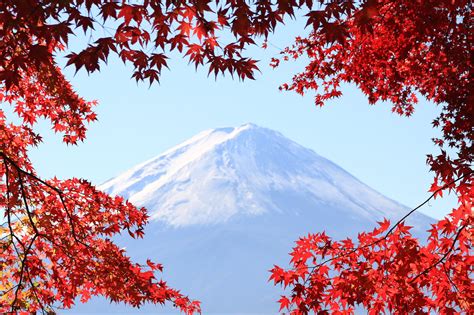 Photo of snow covered mountain, mt. fuji HD wallpaper | Wallpaper Flare