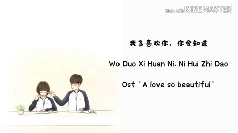 Wo Duo Xi Huan Ni Ni Hui Zhi Dao Ost A Love So Beuatiful Lyrics