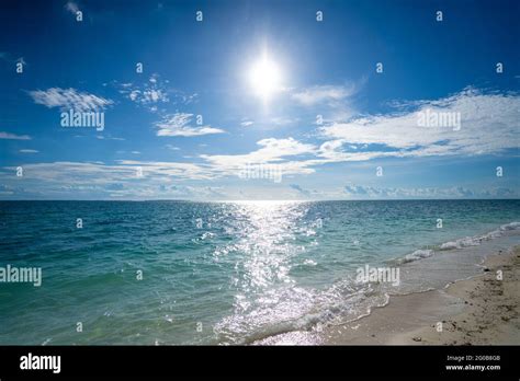 scenic view   beautiful ocean  zanzibar island tanzania stock