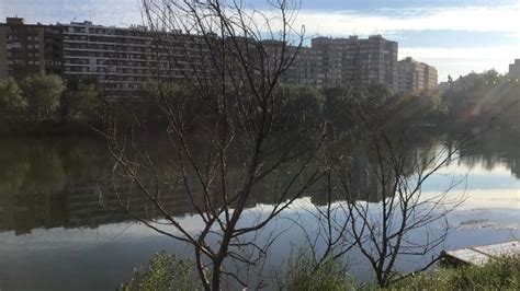 Zaragoza Realizar Trabajos De Tala Y Poda En Metros De La Ribera