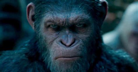 Film Review War For The Planet Of The Apes 2017 Moviebabble