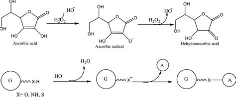 Polymer Grafting And Its Chemical Reactions Pmc
