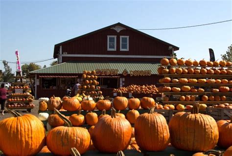 Weekdays | The Great Pumpkin Farm