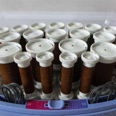 Clairol Kindness Hair Clairol Kindness Hot Rollers Poshmark