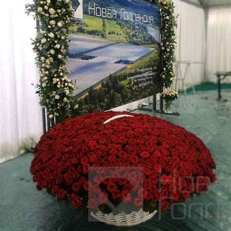 Красные розы 1001 штука по лучшей цене с круглосуточной доставкой.