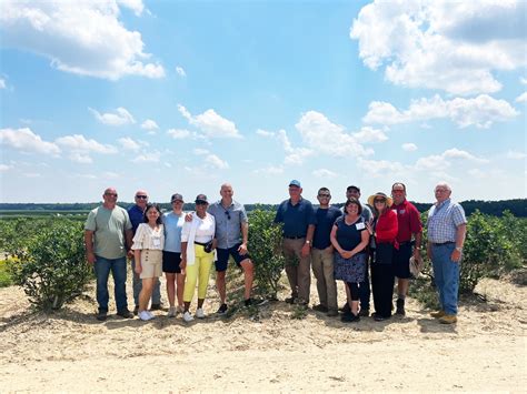 Blueberry Season Off To Good Start In South Jersey Galloway Nj Patch