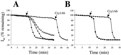 The Mode Of Action Of The Bacillus Thuringiensis Vegetative