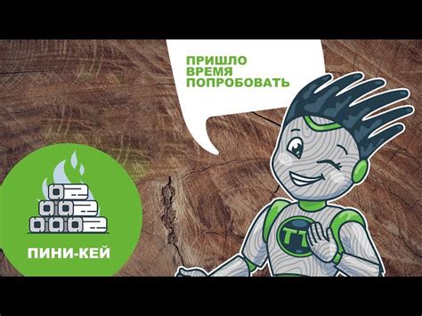 Брикеты PINI&KAY от производителя «БрикеТТс-МСК». Каталог 2025. Цена ...