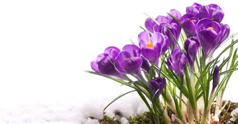 Winter Things To Do Near Wilson Nc Enc Explorer