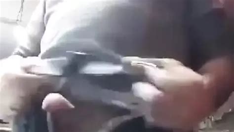 Follado Vividor Gay Porn Videos Sex Model Nudes XHamster