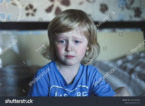Cute Five Years Old Blonde Boy Stock Photo Shutterstock