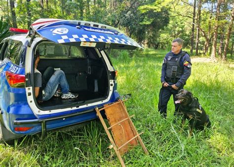 Gcm Det M Homem Que Invadiu Empresa No Alto Da Boa Vista Para Furtar