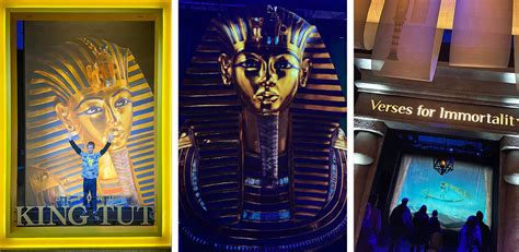 Nat Geos Beyond King Tut A Must See In Vancouver