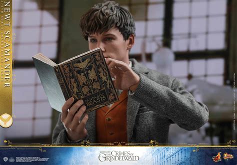 Hot Toys Mms Fantastic Beasts Tcog Newt Scamander Hot Toys Complete Checklist