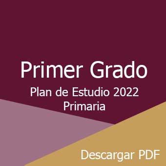 Plan Y Programa De Estudios De Primaria Pdf