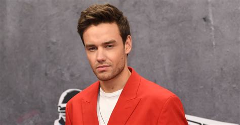 How Many Kids Does Liam Payne Have? | POPSUGAR Family