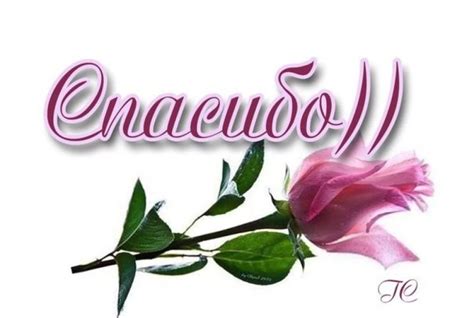 Стикер спасибо большое - фото и картинки abrakadabra.fun