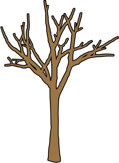 Beautiful Bare Tree Images For Your Design Needs Clipart Library