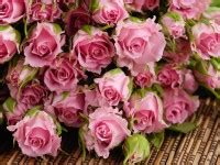 Собирать пазлы онлайн - Розы в воде