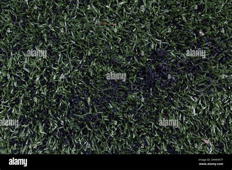 Artificial Turf Plastic Pitch 3g Surface Football Pitch With Rubber