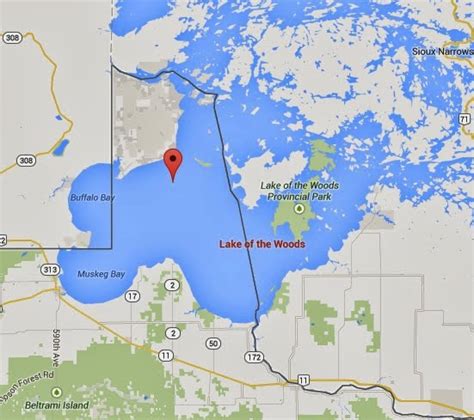 Lake Of The Woods Topographic Map - Map