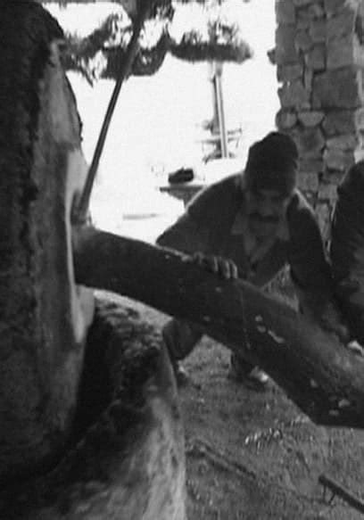 Watch The Naked Archaeologist S E Biblical Food Free TV Shows Tubi