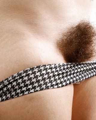 From The Moshe Files Show Us Your Hairy Beaver Porn Pictures XXX Photos Sex Images 1952401