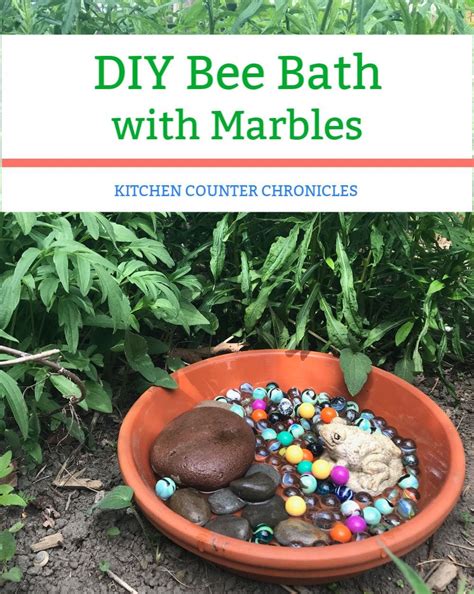 Diy Bee Bath With Marbles For A Bee Friendly Garden