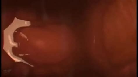 Internal View Of Pussy Vs Cock Xxx Mobile Porno Videos Movies IPornTV Net