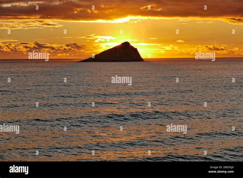 Mewstone Hi Res Stock Photography And Images Alamy