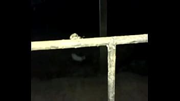 Foda De Besouro Bem Dada XVIDEOS