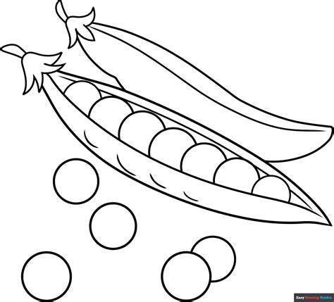 Pea Coloring Page | Easy Drawing Guides