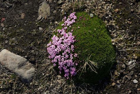 Deadly advice: the survival tips that could actually kill you