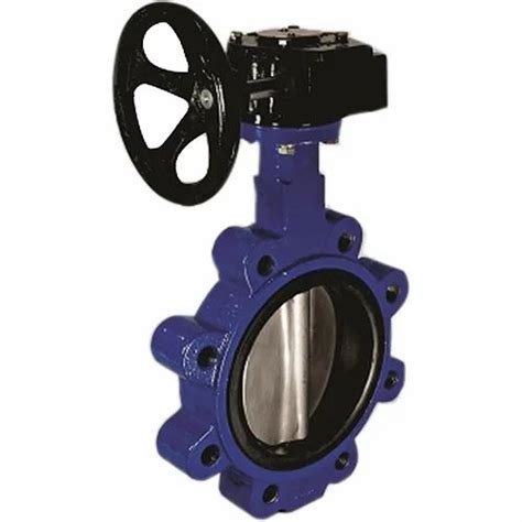 Cast Iron Gear Operated Lug Type Butterfly Valve At Rs In Ahmedabad