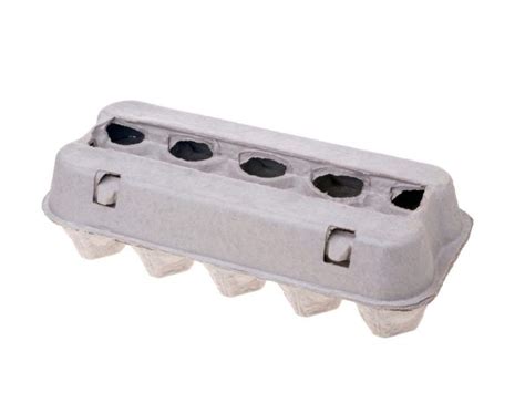 Composting Egg Cartons An Eco Friendly Guide Composthq