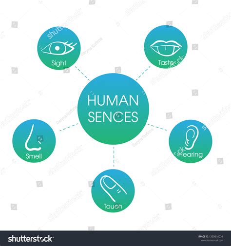 5 Human Senses Icon Set Five Stock Illustration 1355618033 Shutterstock