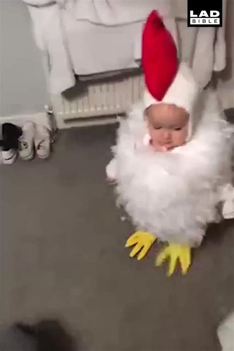 Halloween Winner  Cool Pictures Memes Animal Quotes